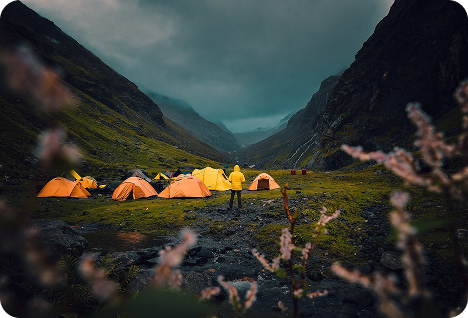 Survival Challenge